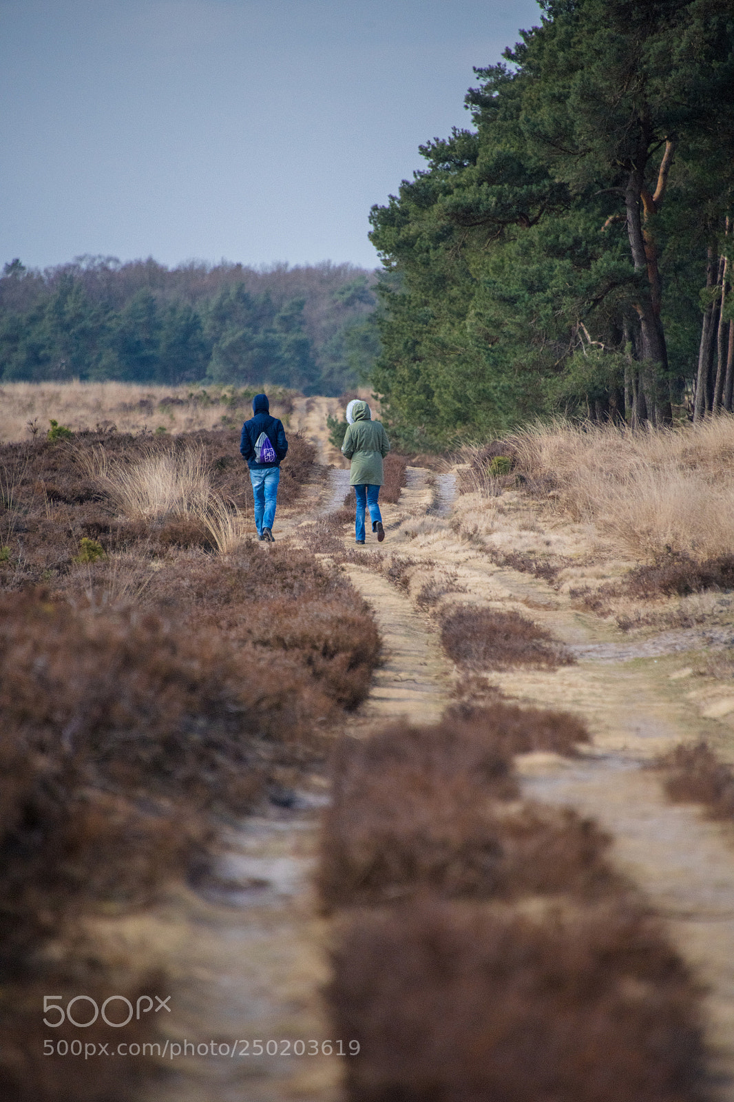Nikon D850 sample photo. Gelderland road trip adventure photography
