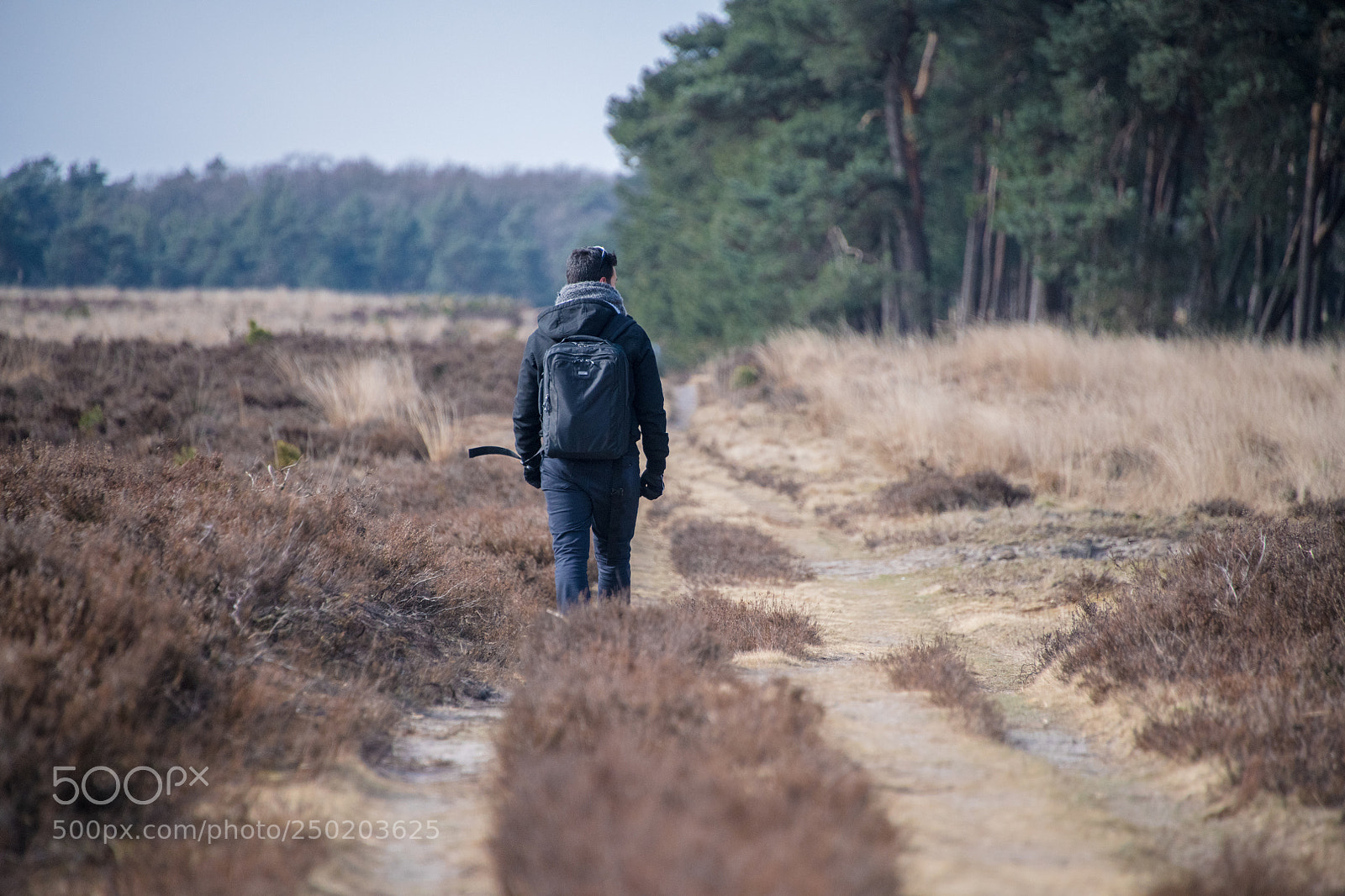 Nikon D850 sample photo. Gelderland road trip adventure photography