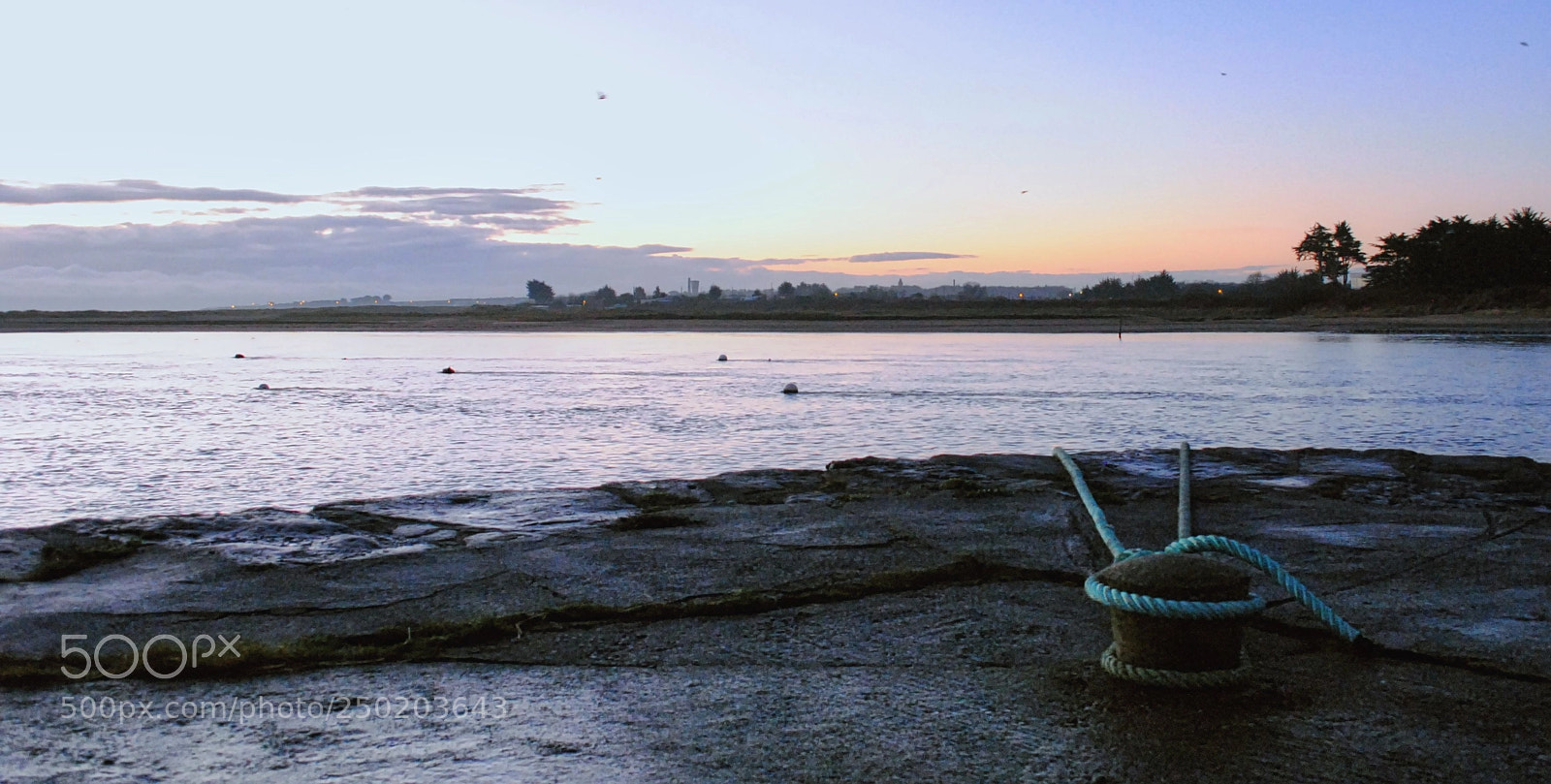 Nikon D3000 sample photo. Rogerstown estuary rush photography