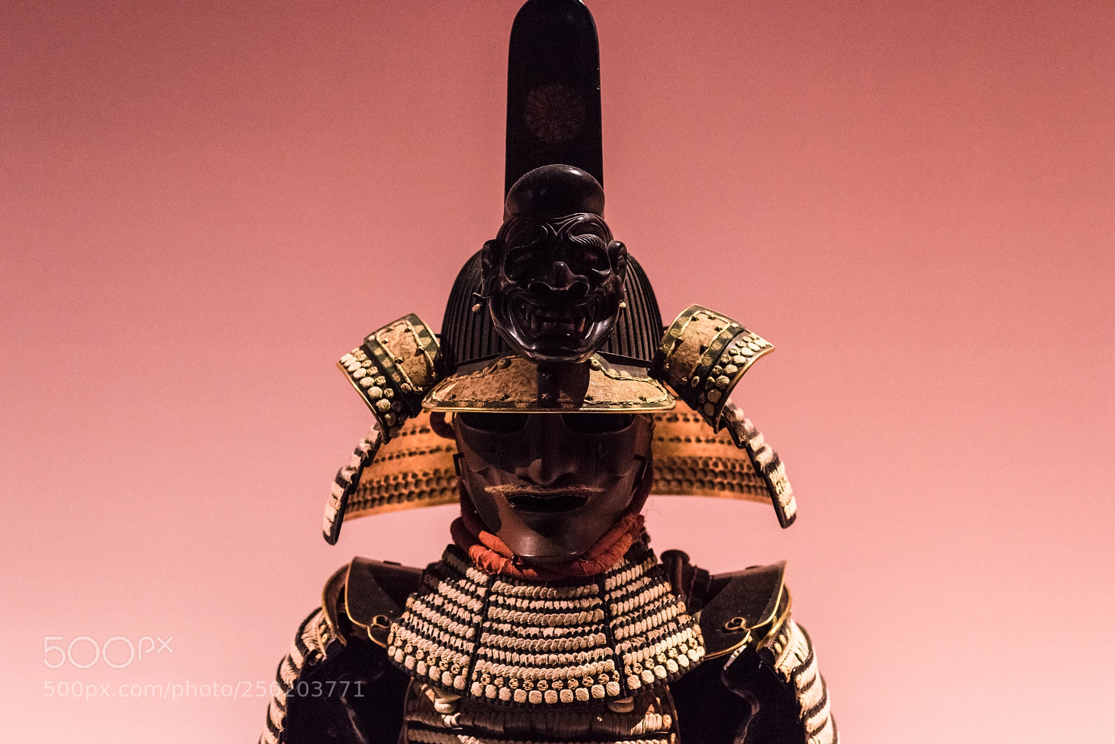 Nikon D810 sample photo. Soleil levant xi photography