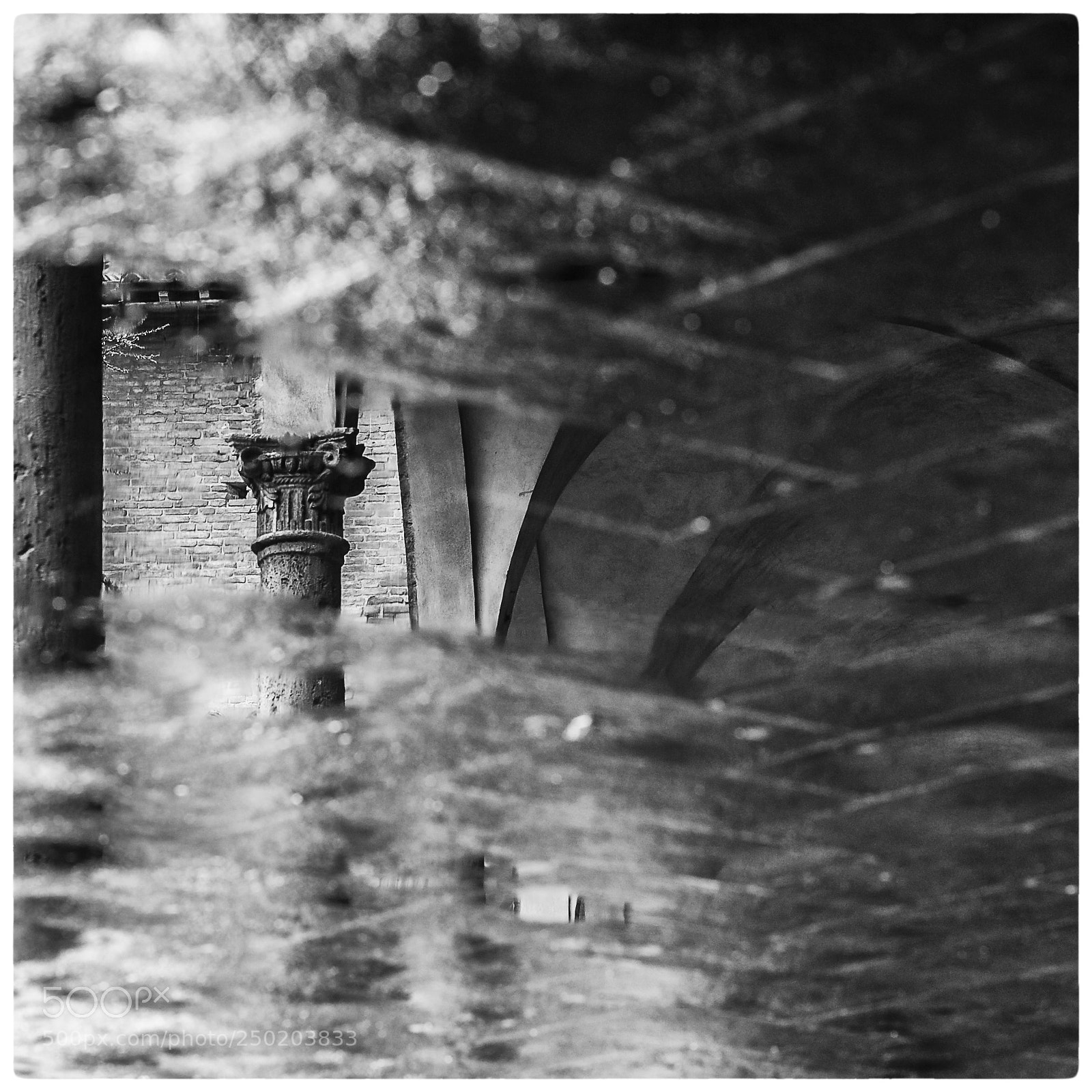 Nikon D700 sample photo. Siena in the puddle photography