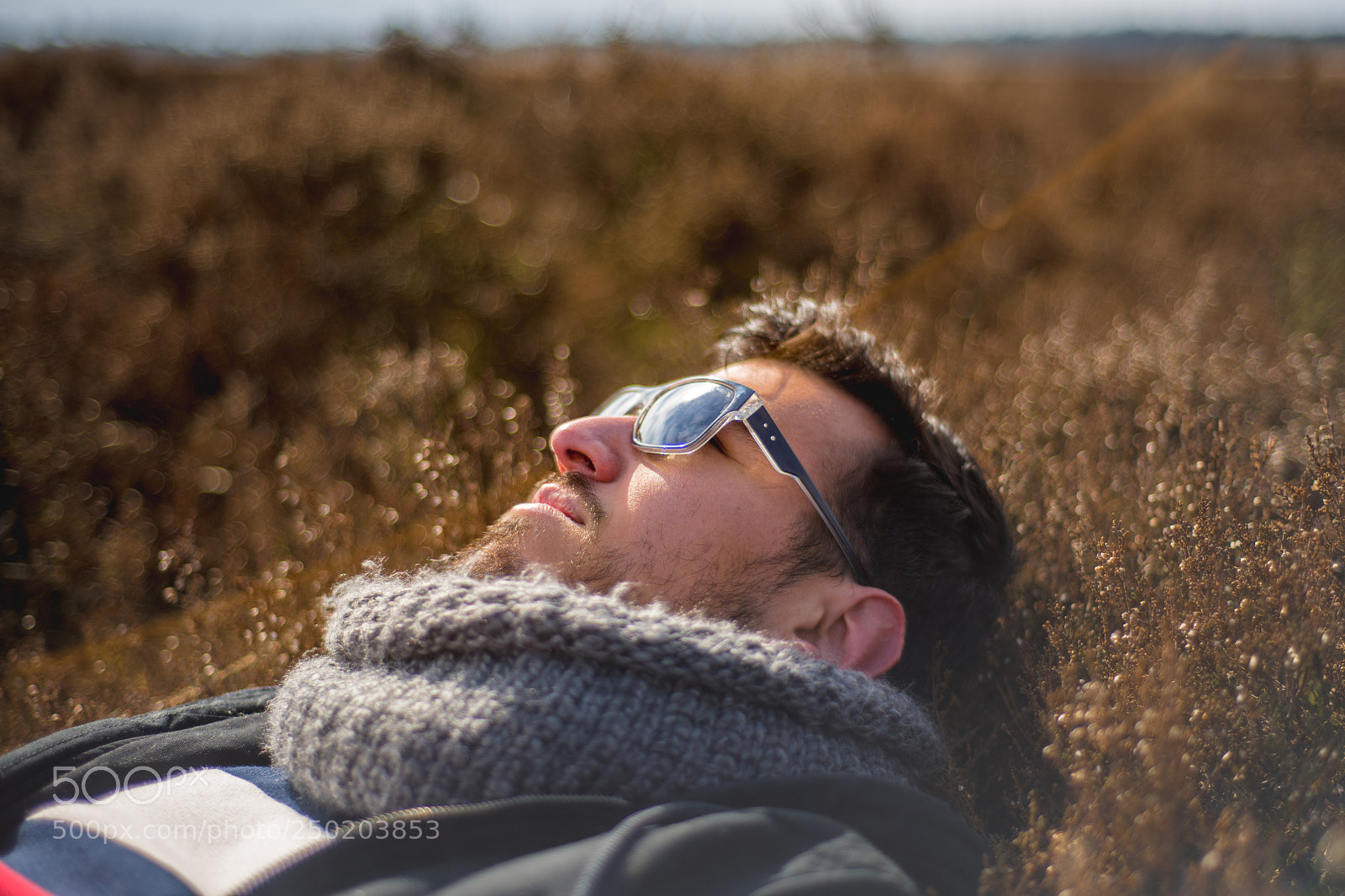 Nikon D850 sample photo. Gelderland road trip adventure photography