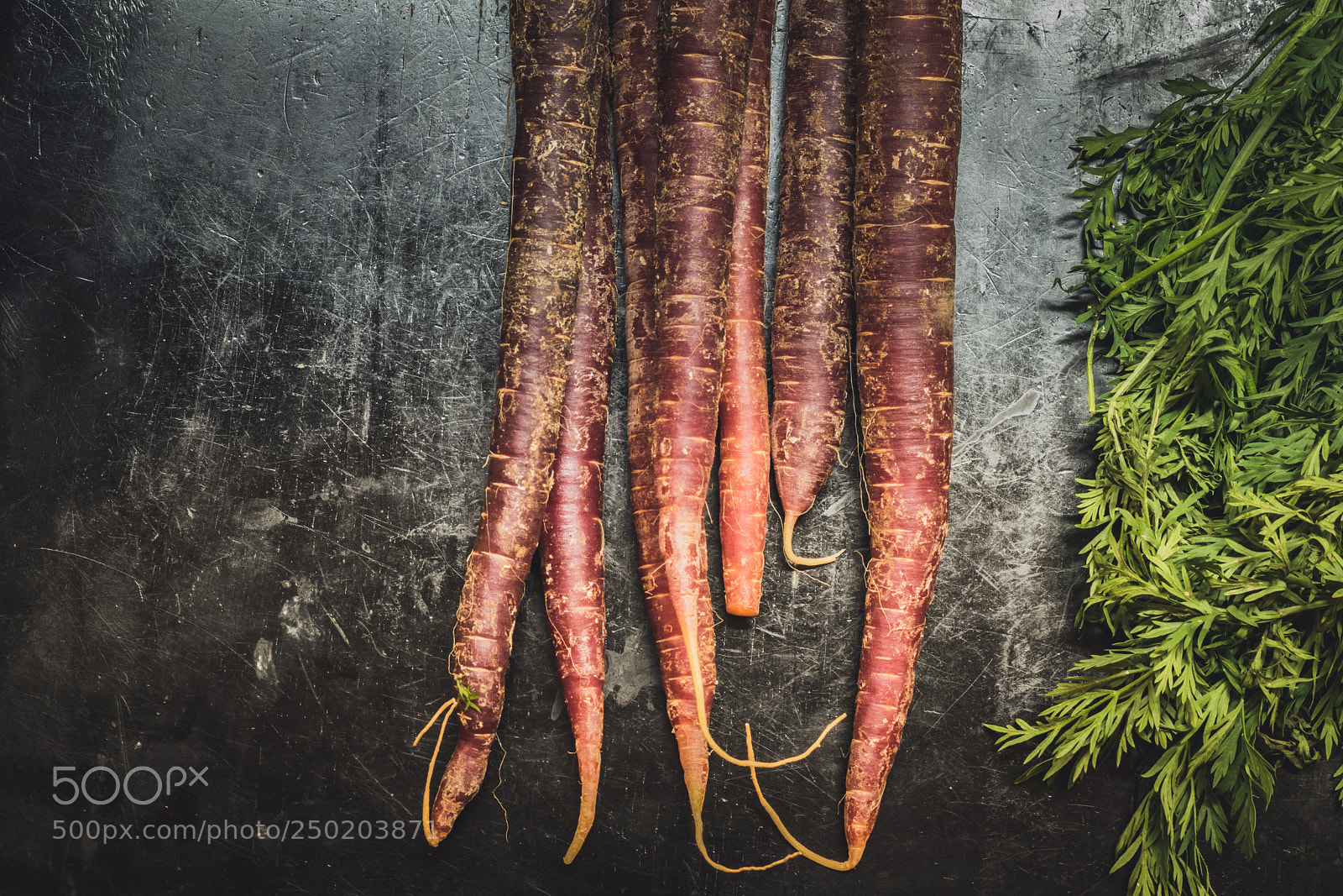 Nikon D5300 sample photo. Carrots #1 - organic purples photography
