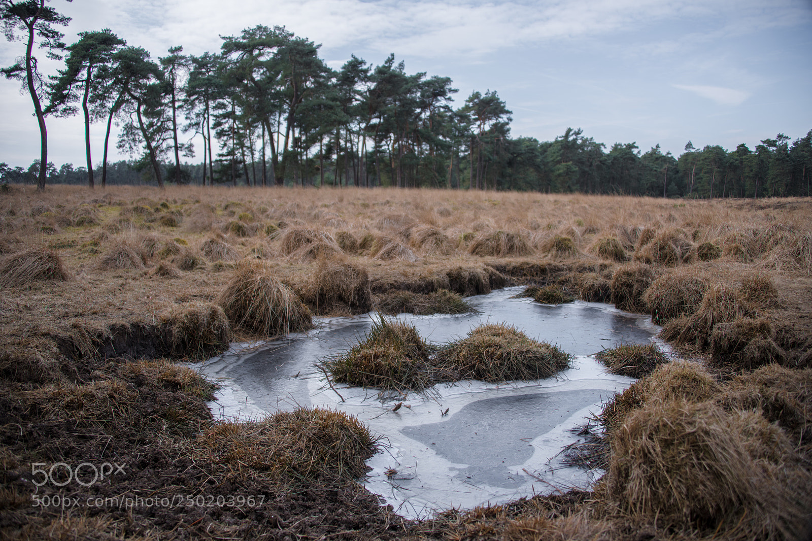 Nikon D850 sample photo. Gelderland road trip adventure photography