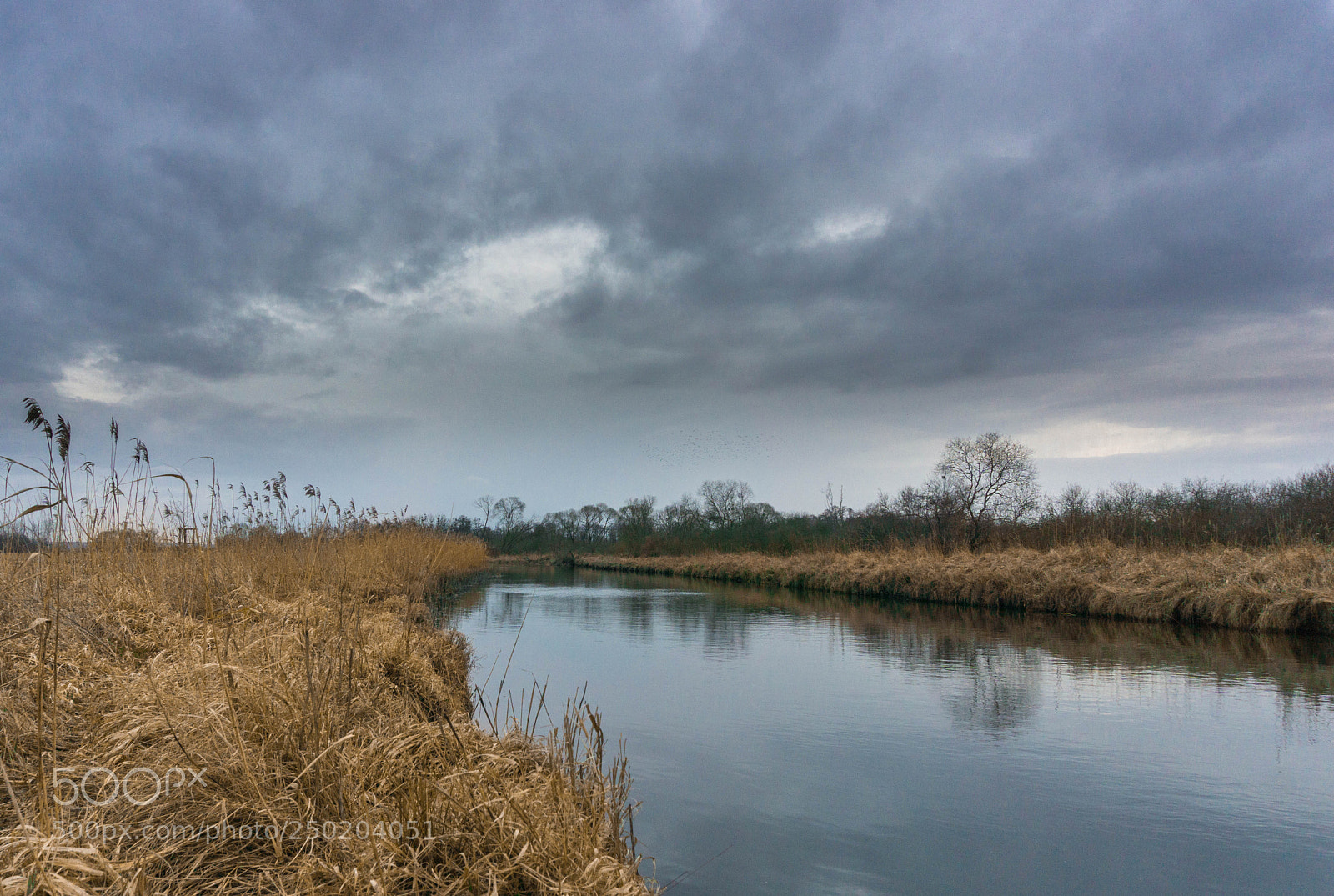 Sony a6000 sample photo. Dsc photography