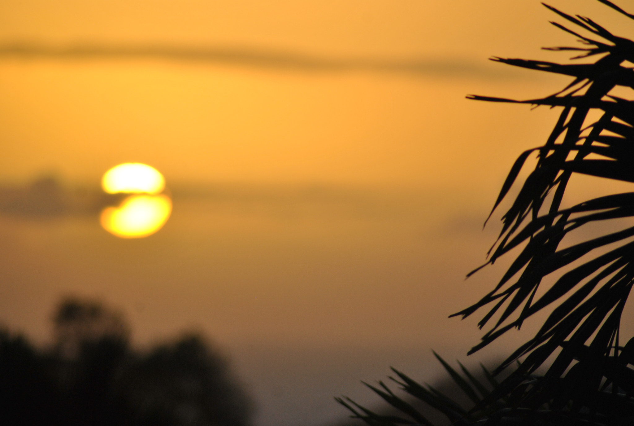 Nikon D3000 sample photo. Sunset in paradise photography