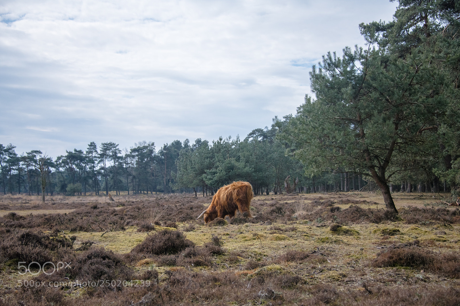 Nikon D850 sample photo. Gelderland road trip adventure photography