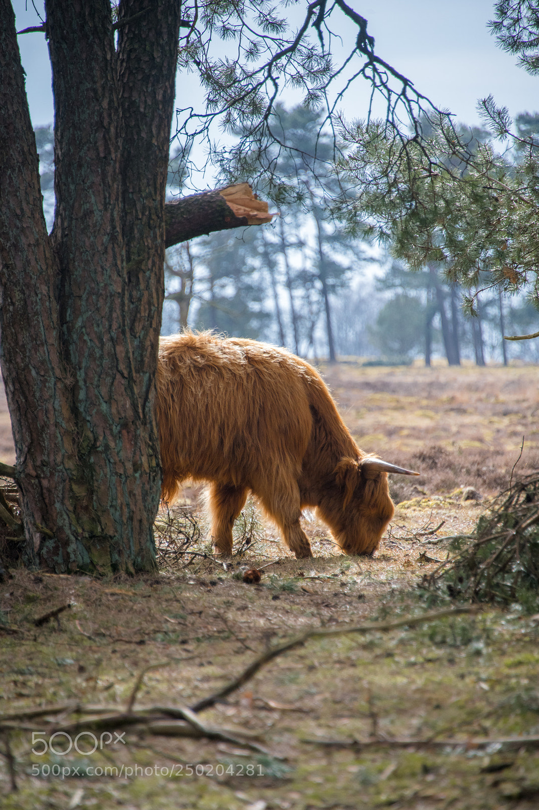 Nikon D850 sample photo. Gelderland road trip adventure photography