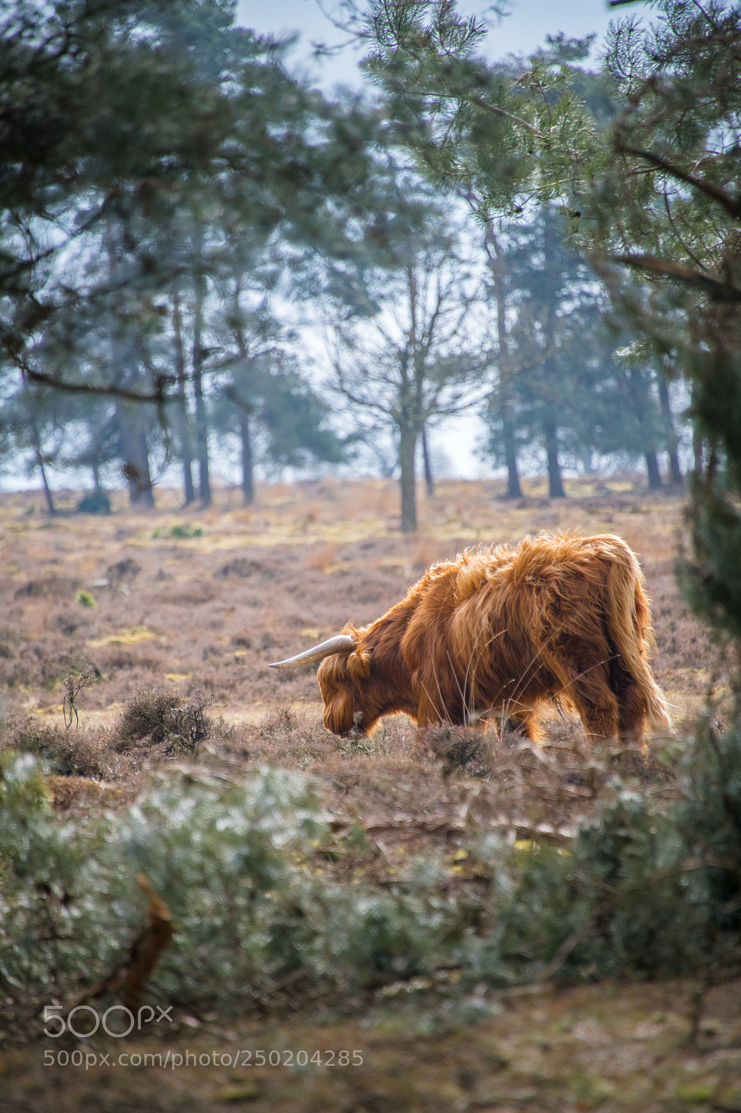Nikon D850 sample photo. Gelderland road trip adventure photography