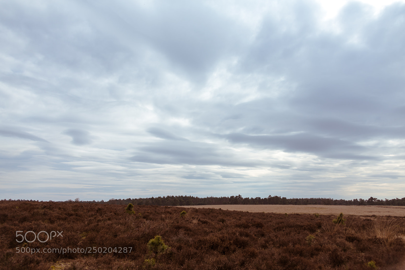 Nikon D850 sample photo. Gelderland road trip adventure photography