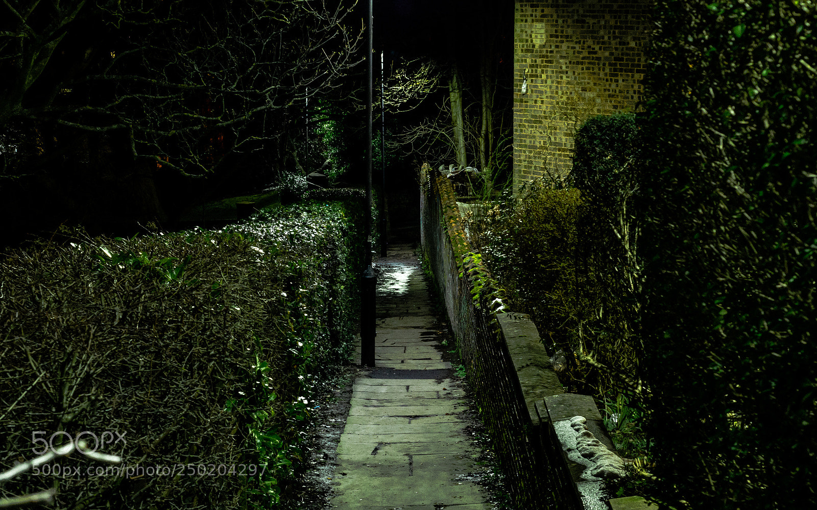Nikon D7000 sample photo. Into the dark photography
