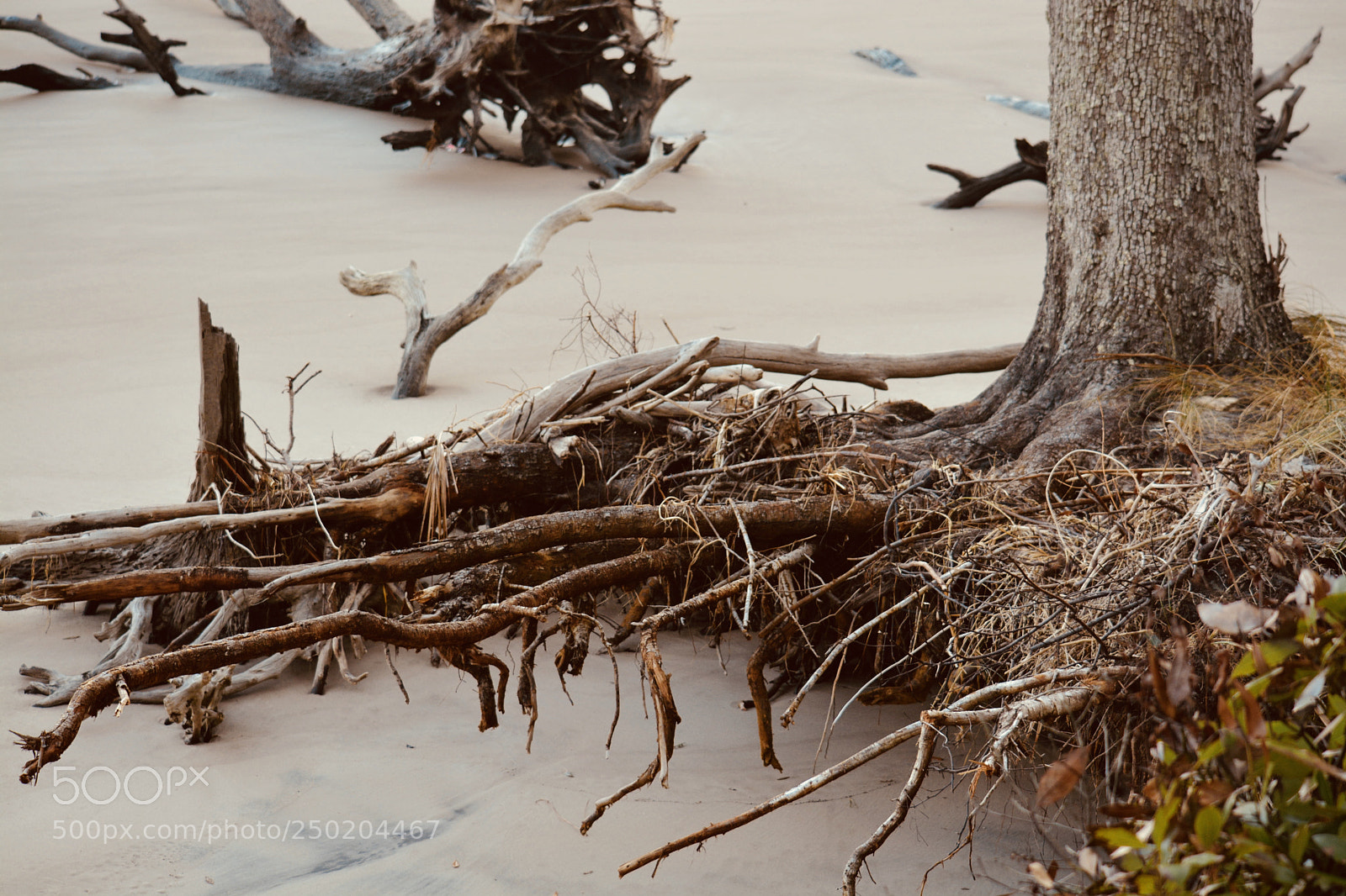 Nikon D7100 sample photo. Black rock island....my get photography