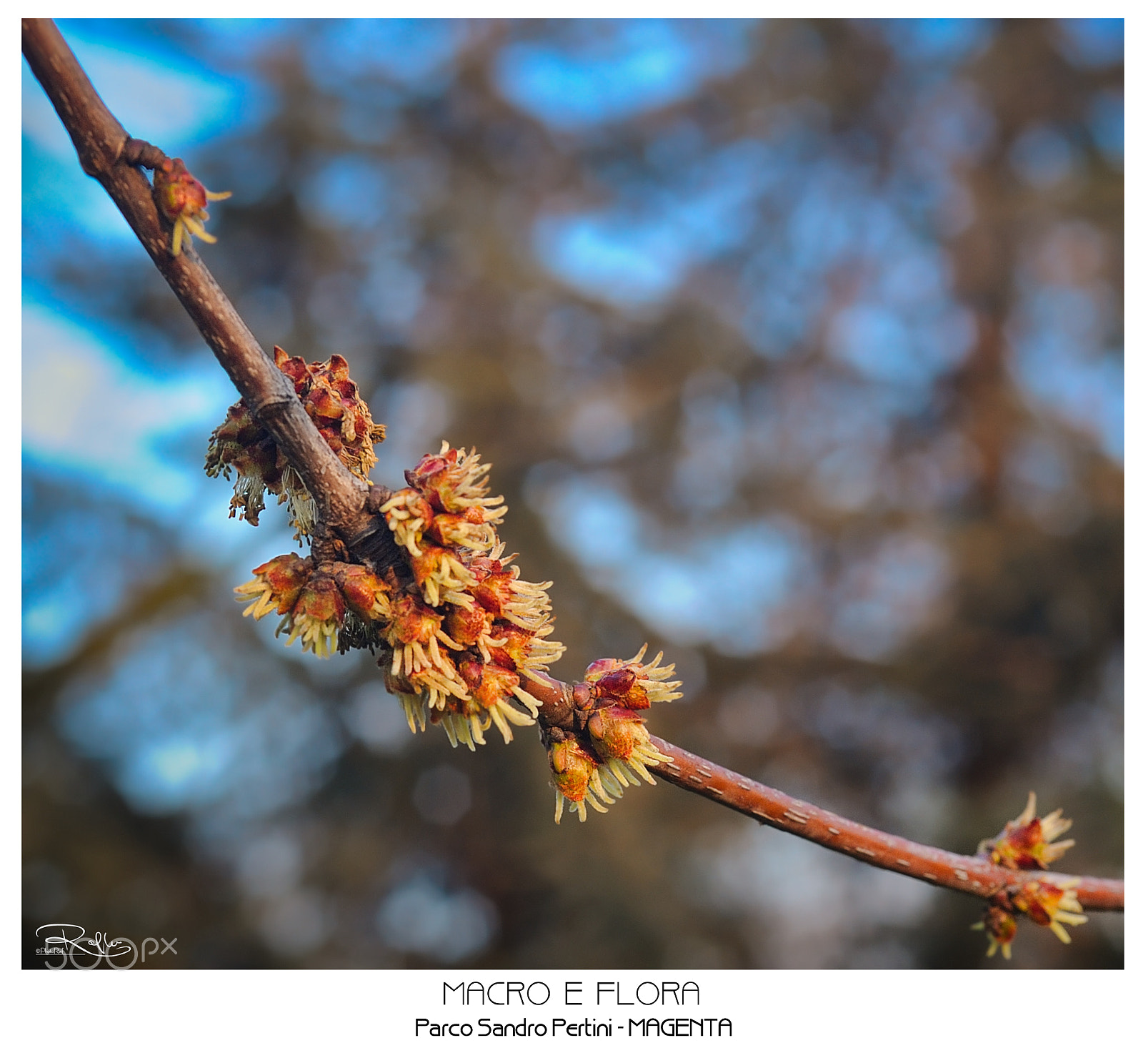 Nikon D3 sample photo. Untitled photography