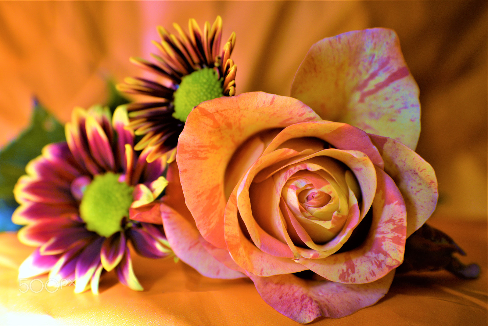 Nikon D610 sample photo. Cuties photography