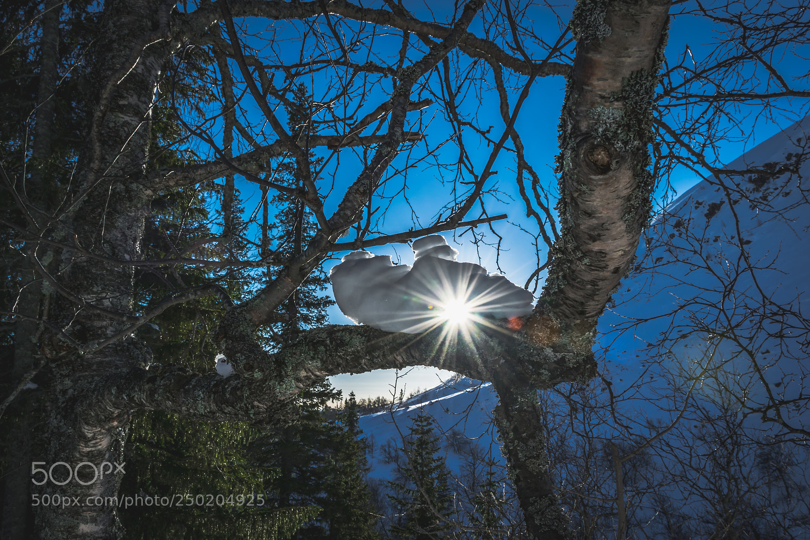 Nikon D5300 sample photo. Wonderful sunshine photography
