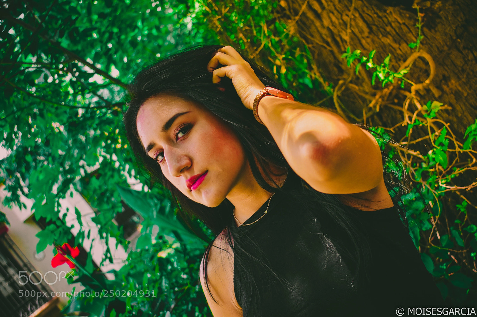 Nikon D3400 sample photo. Colors photography
