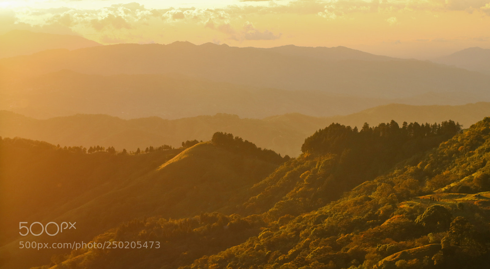 Canon EOS 80D sample photo. Nature soul photography