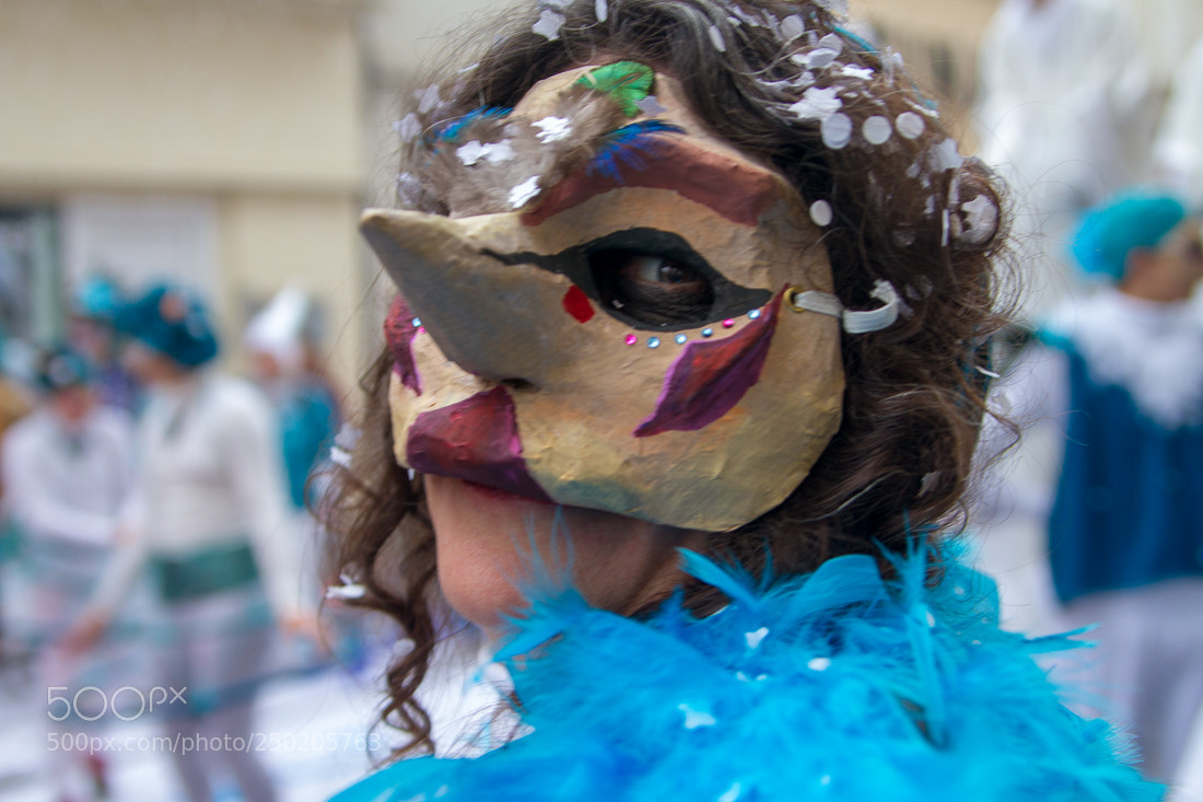 Canon EOS 7D sample photo. Carnaval les flambarts dreux photography