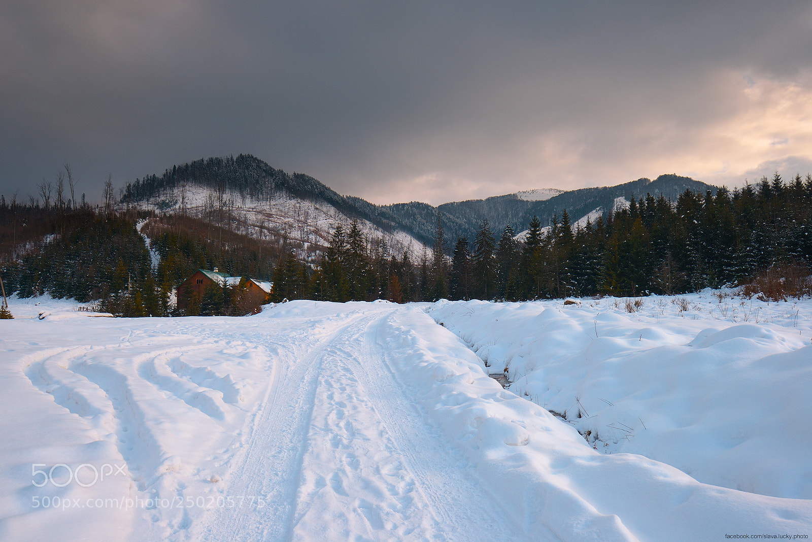 Nikon D610 sample photo. *** photography