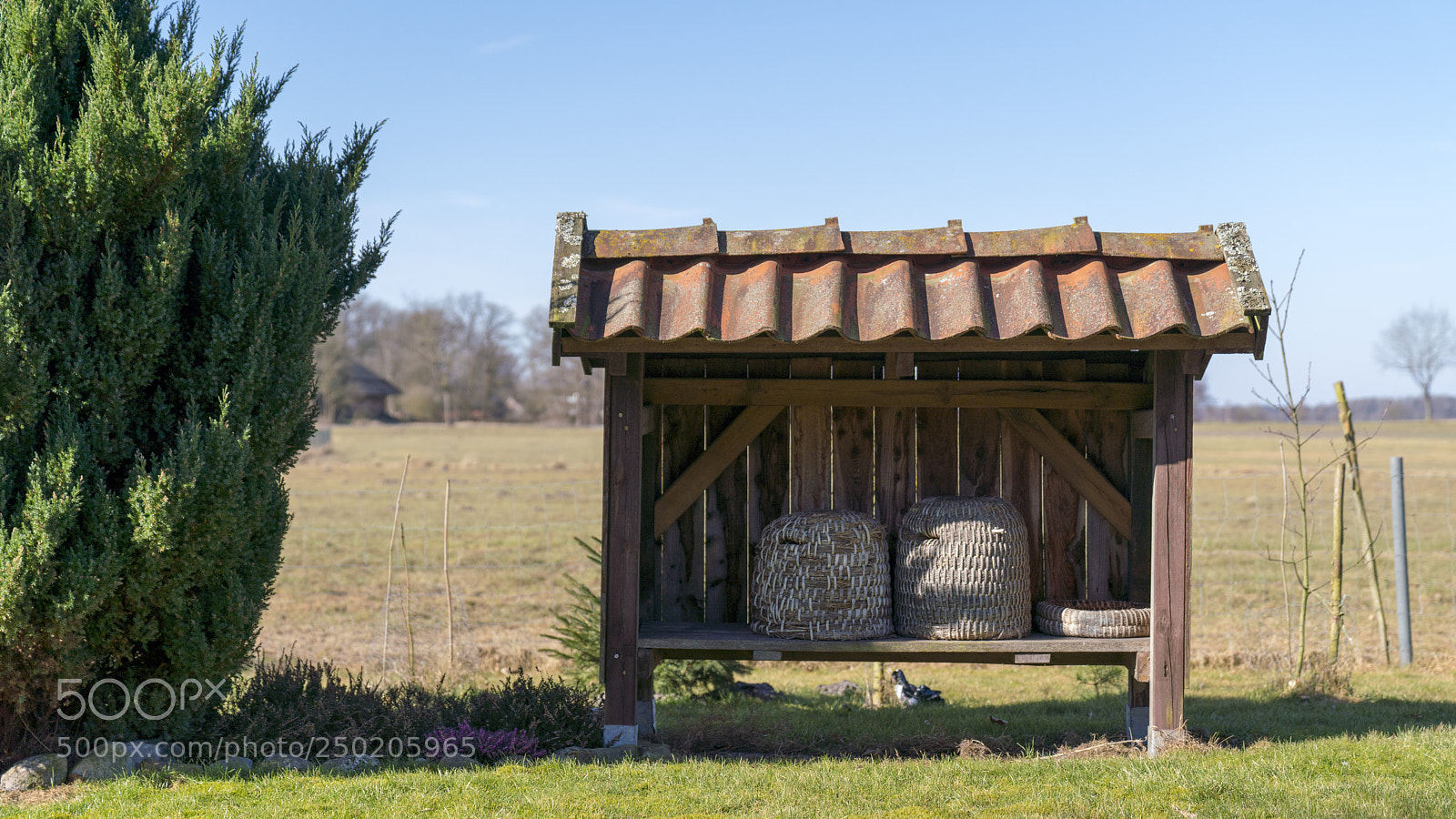 Sony a7R III sample photo. Classic beehive shelter photography
