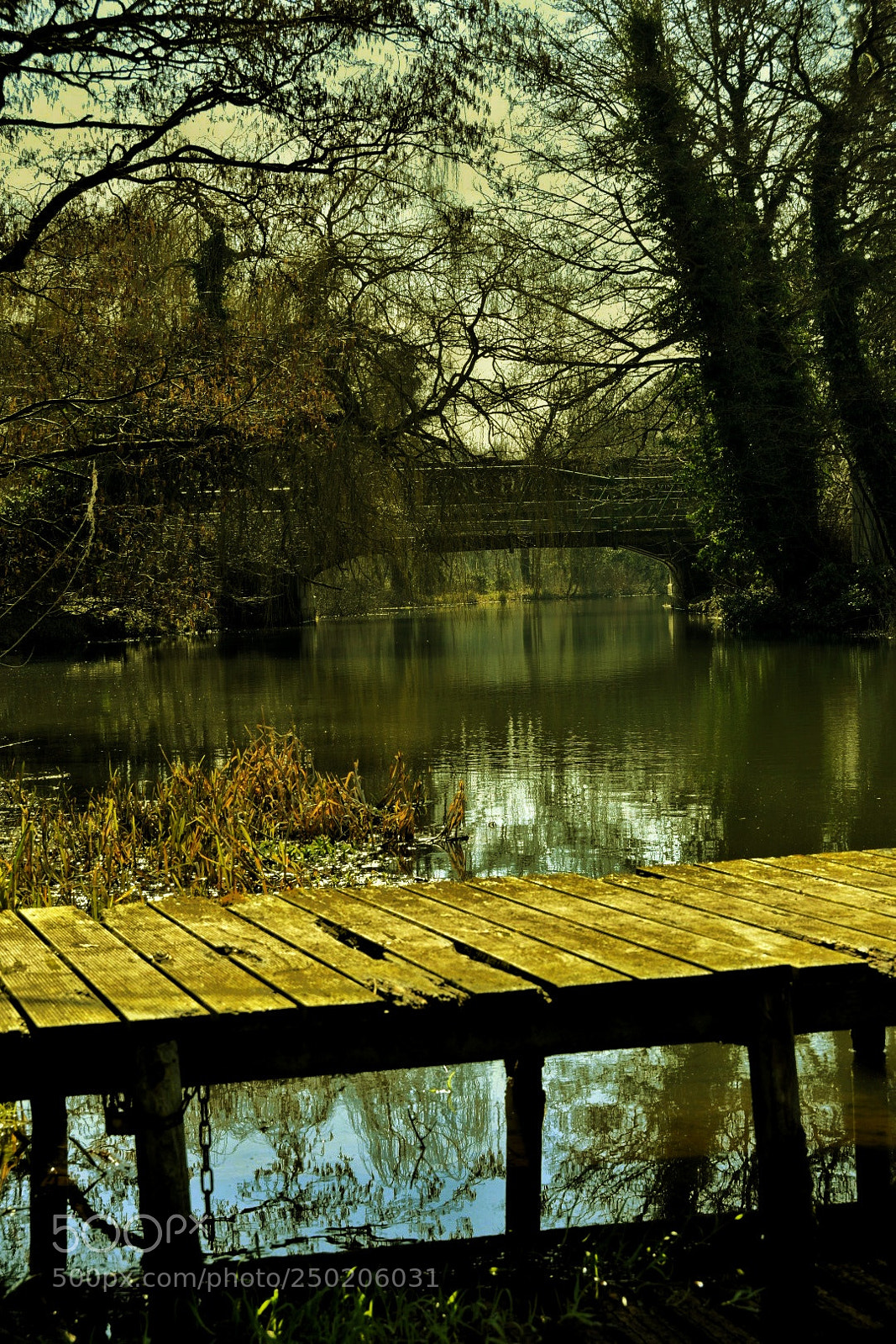 Nikon D5500 sample photo. Untitled photography