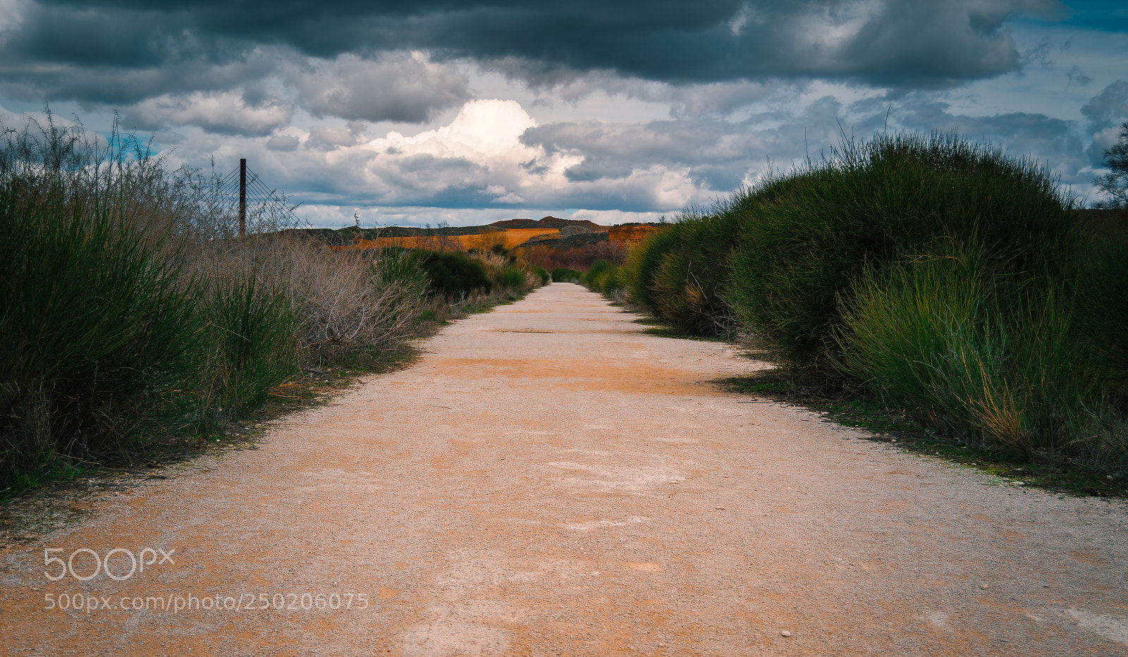 Nikon D3200 sample photo. The road photography