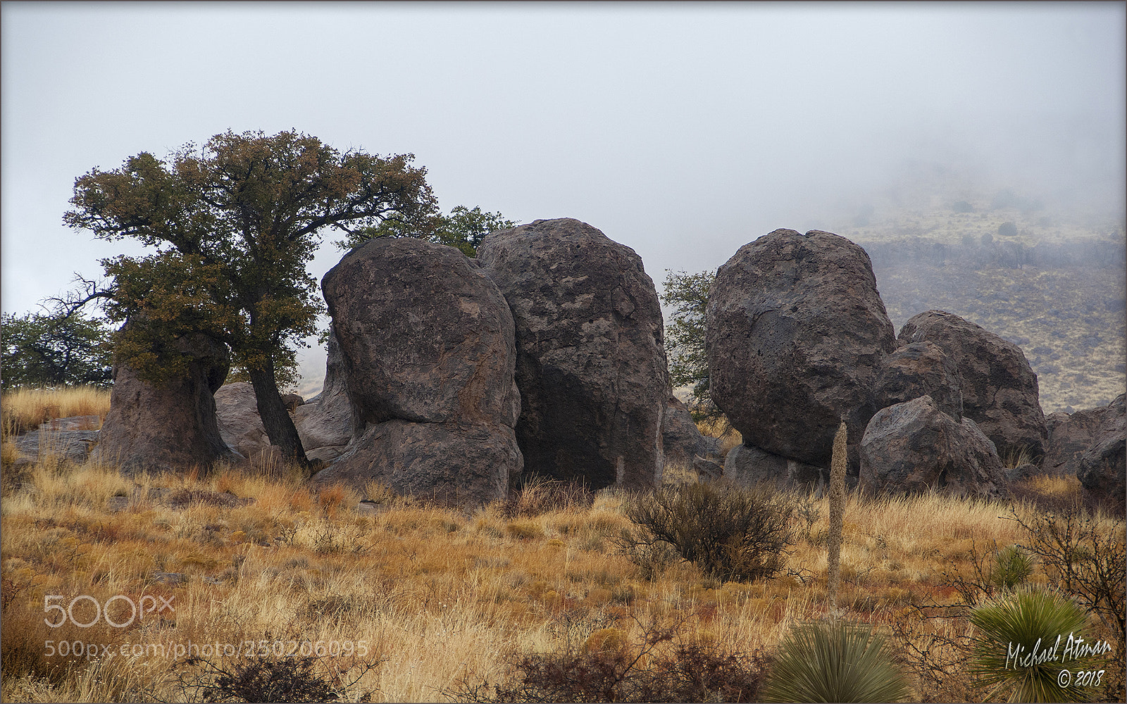 Nikon D200 sample photo. Lyra fog photography