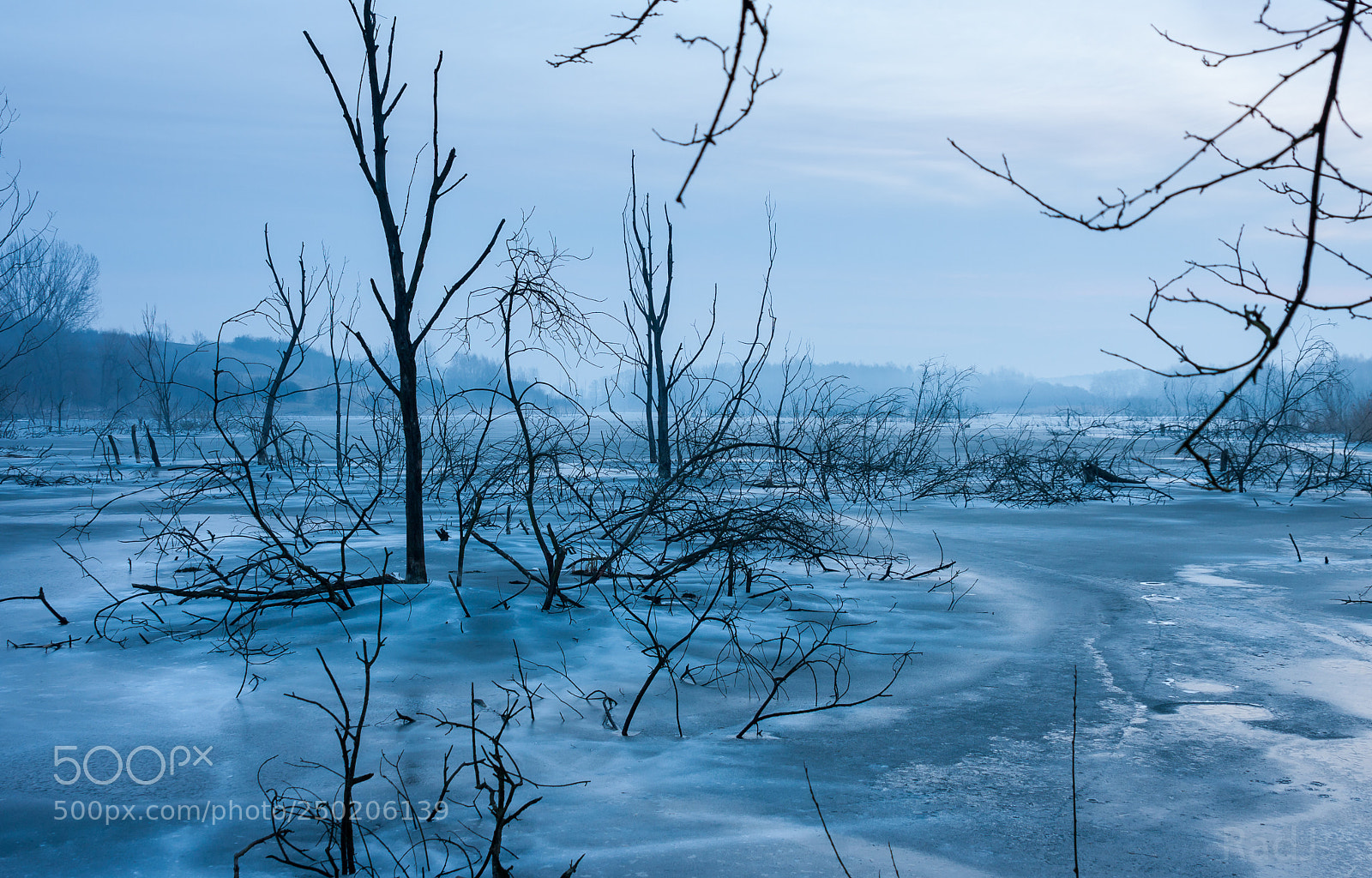 Canon EOS 40D sample photo. Still frozen photography