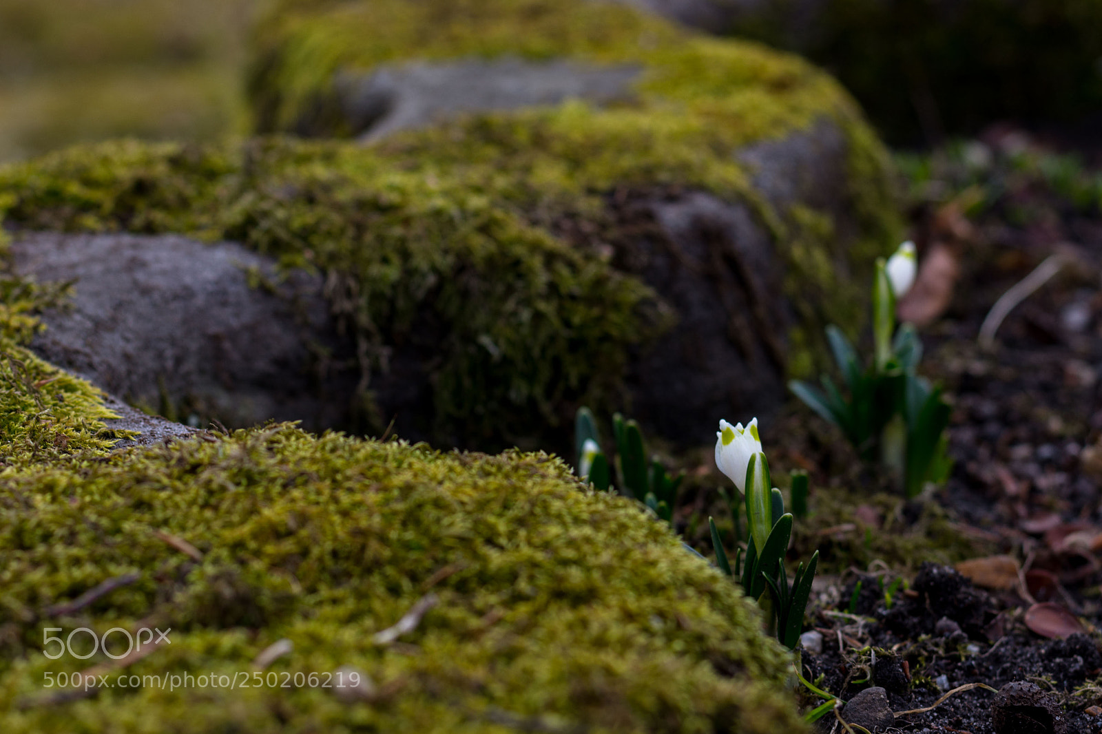 Nikon D7200 sample photo. Untitled photography