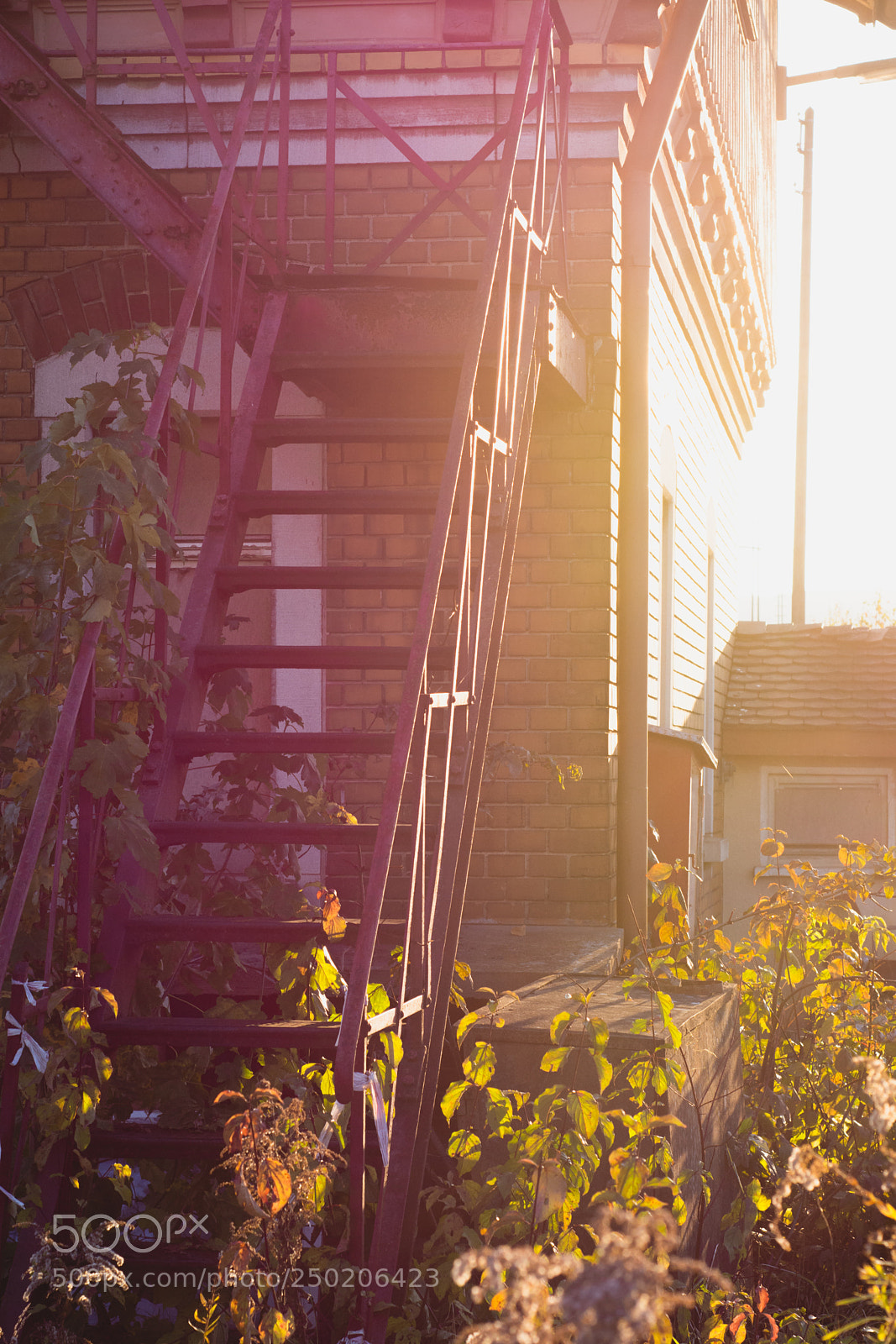 Nikon D7200 sample photo. Fall again... photography
