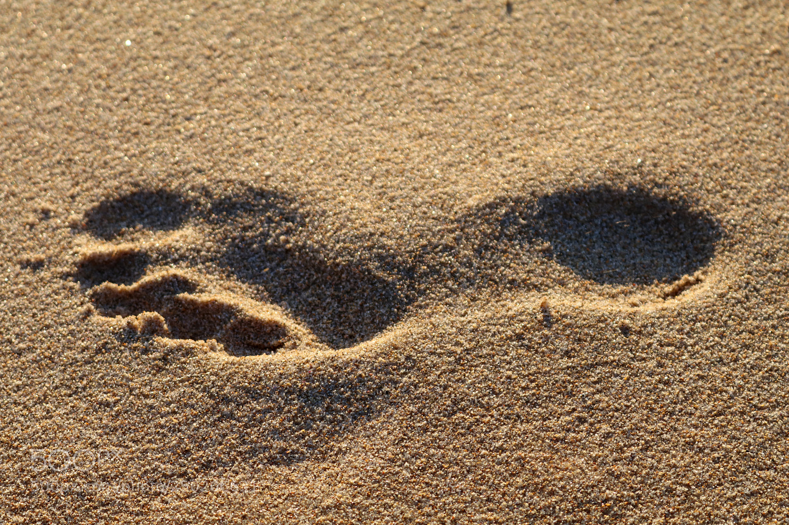 Canon EOS 80D sample photo. Barefoot on the beach photography