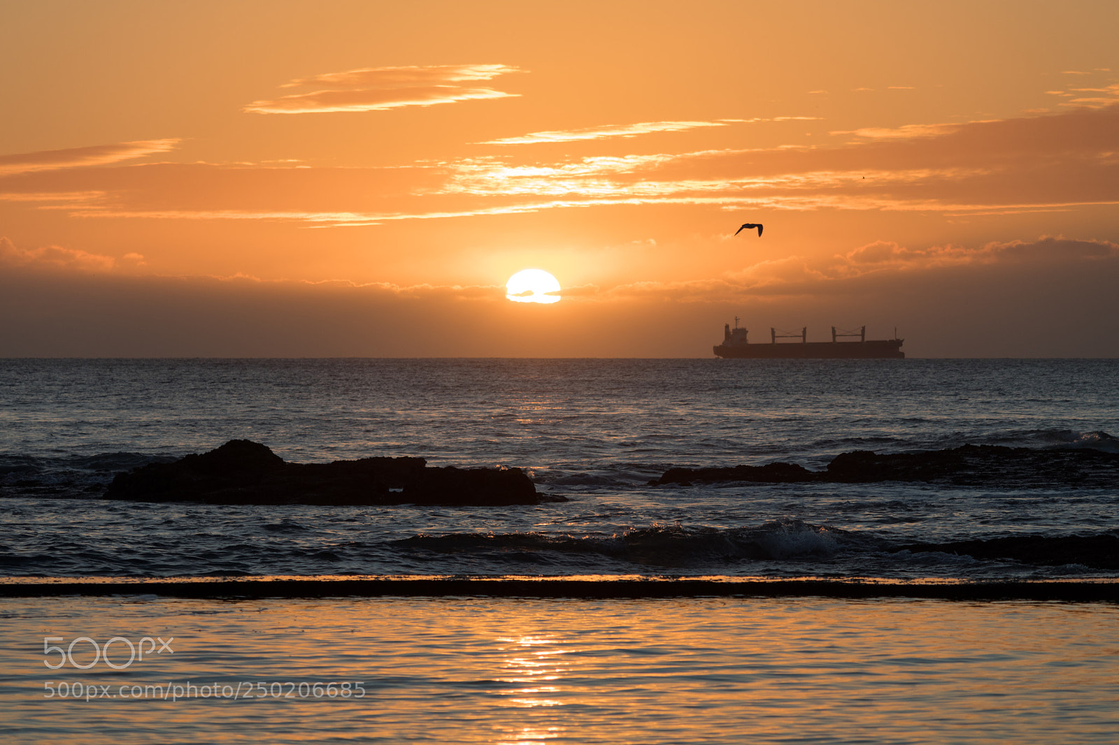 Canon EOS 80D sample photo. Sunset silhouette 6 photography
