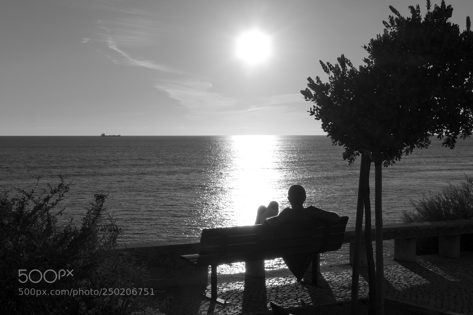 Canon EOS 80D sample photo. Sunset silhouette 7 _ b&w photography