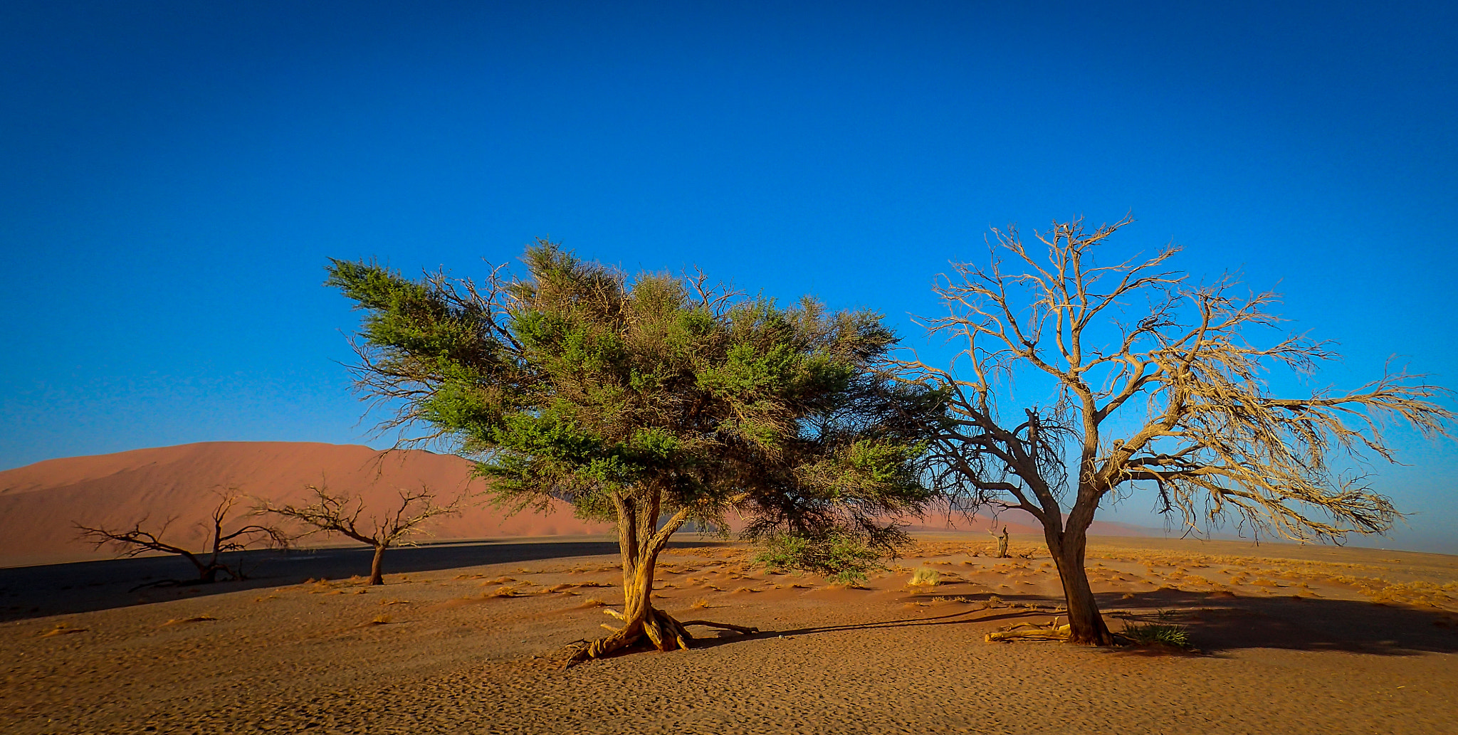 Olympus TG-3 sample photo. Sossusvlei,namibia photography