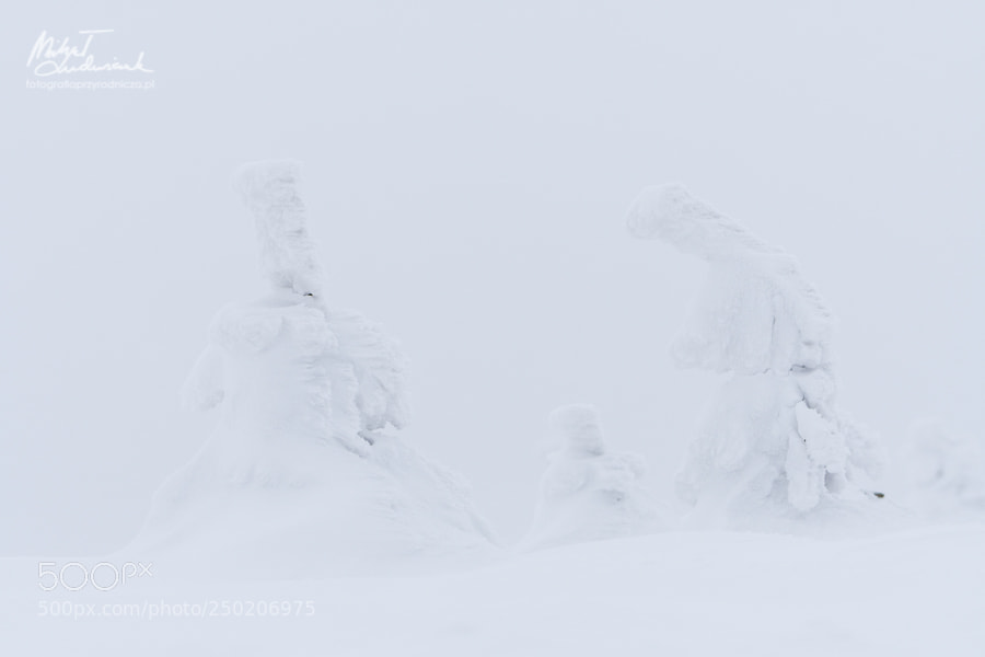 Sony a6500 sample photo. White on white photography