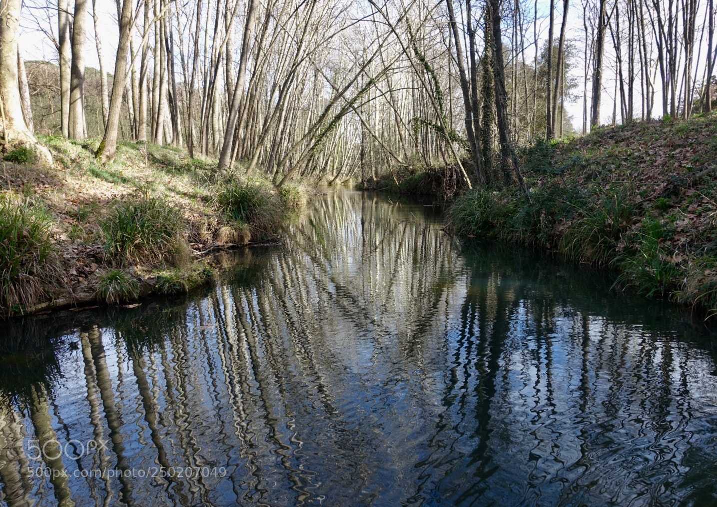 Sony Cyber-shot DSC-RX100 III sample photo. Reflections in the river. photography