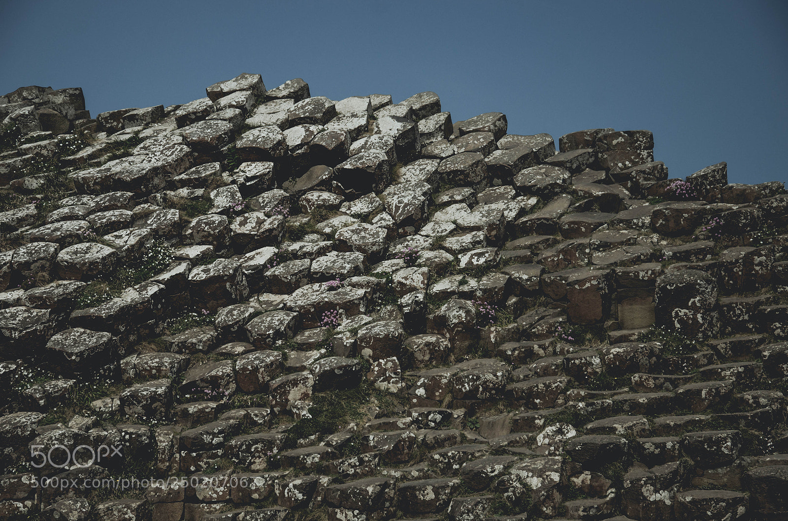 Nikon D7000 sample photo. Giant´s path photography
