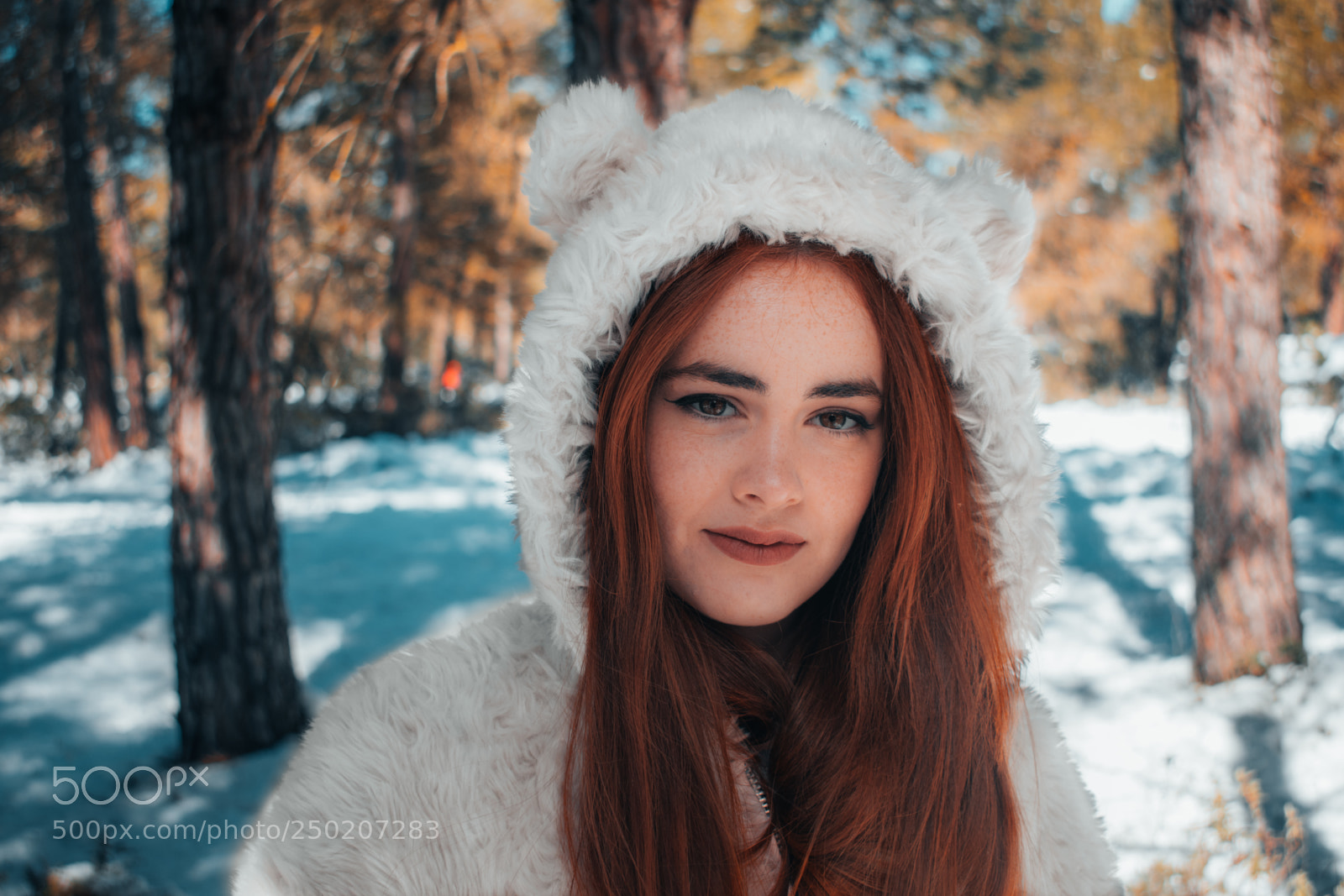 Nikon D3300 sample photo. Snow photography