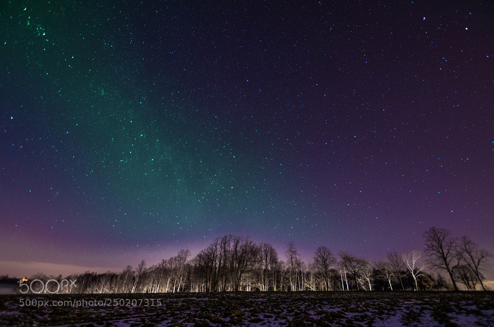Pentax K-5 II sample photo. Star night photography