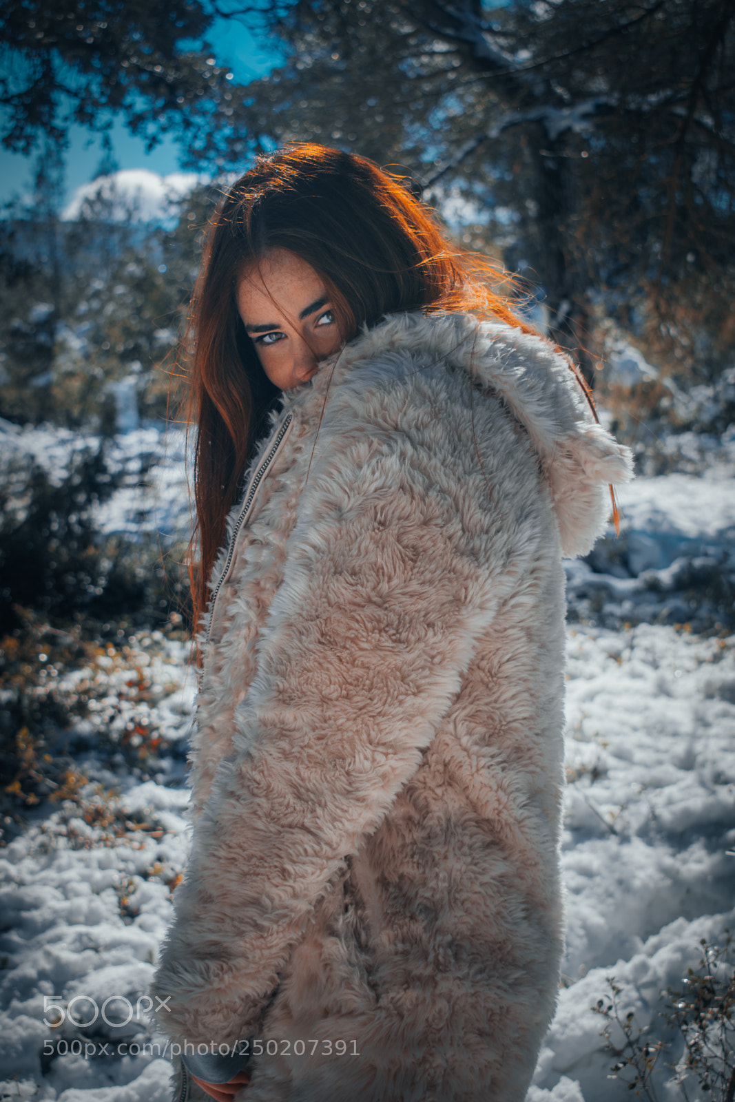 Nikon D3300 sample photo. Snow photography