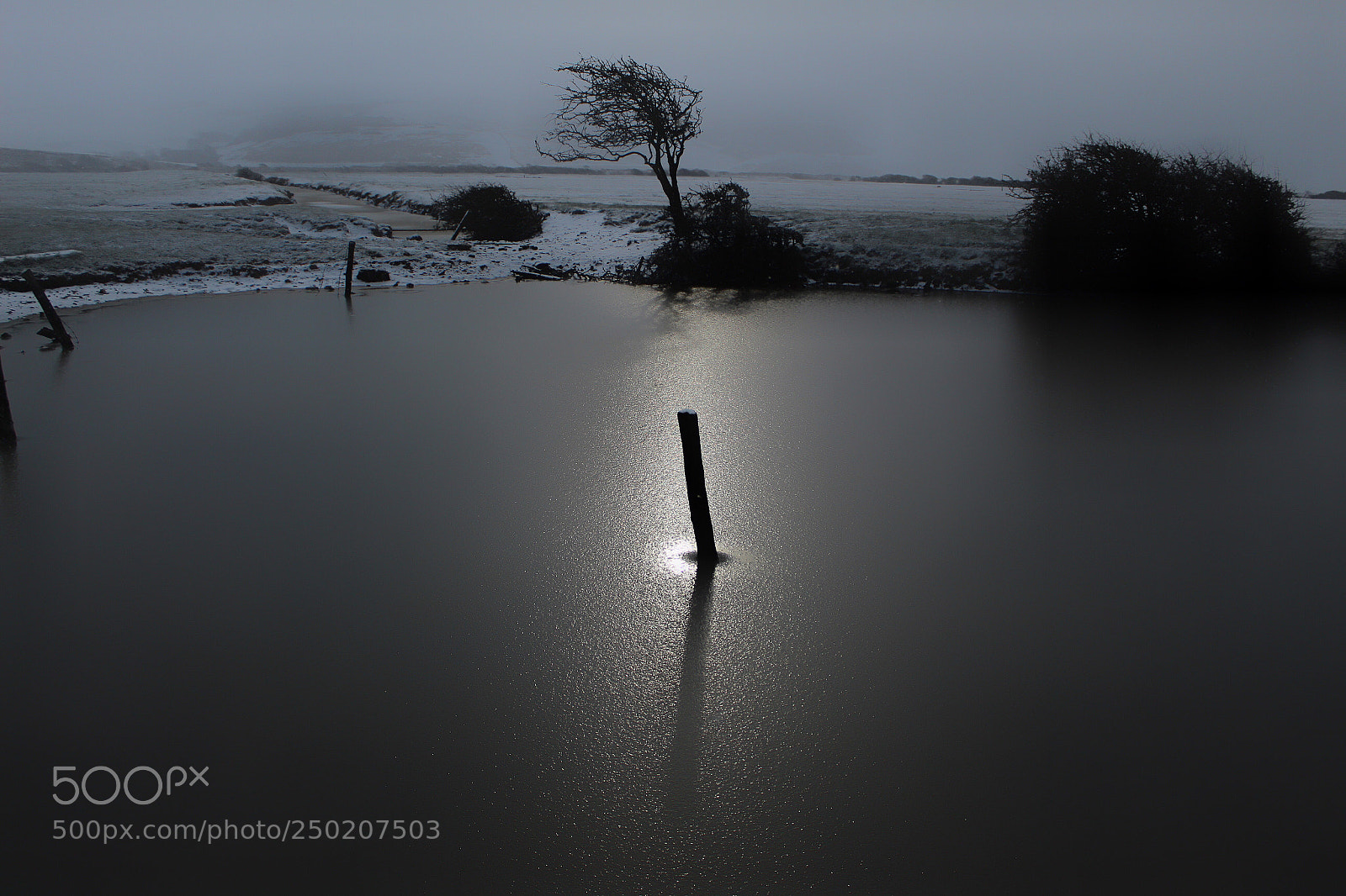 Canon EOS 1300D (EOS Rebel T6 / EOS Kiss X80) sample photo. Winters morning at cuckmere  photography