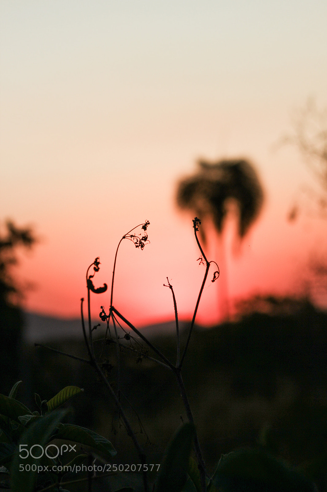 Canon EOS 600D (Rebel EOS T3i / EOS Kiss X5) sample photo. Sunset photography