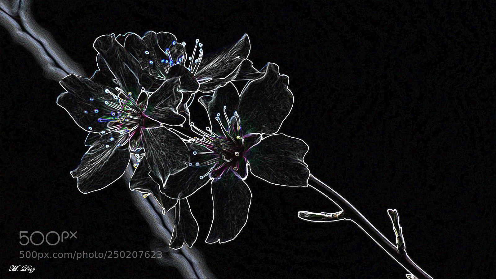 Sony Cyber-shot DSC-HX400V sample photo. Bordes resplandecientes photography