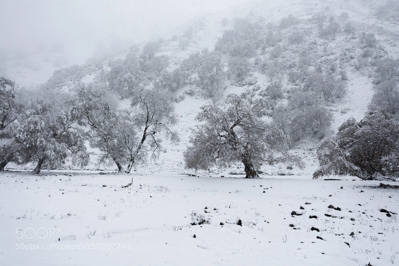 Nikon D7200 sample photo. Landscape #202 photography