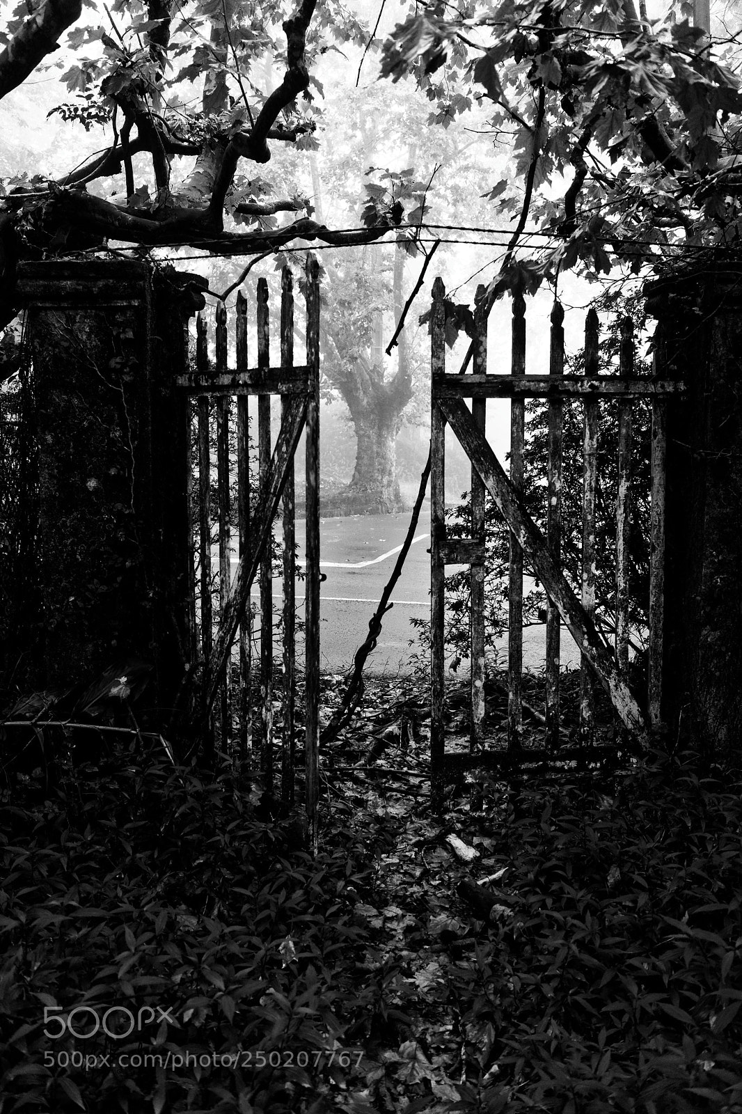 Sony a7 sample photo. Haunted photography