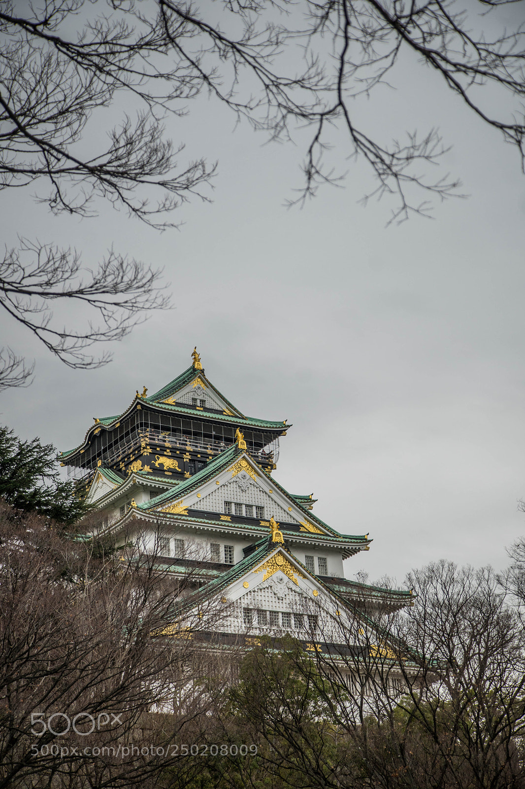 Sony a7 II sample photo. Dsc photography