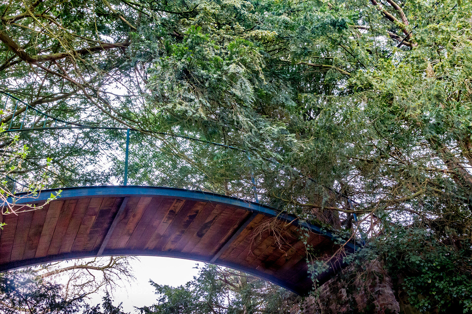 Canon EOS 700D (EOS Rebel T5i / EOS Kiss X7i) sample photo. Blue bridge photography