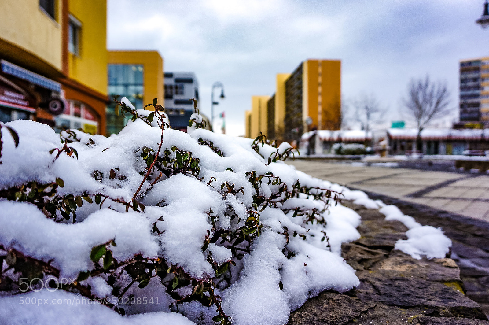 Sony Alpha NEX-5N sample photo. Winter ends in the photography