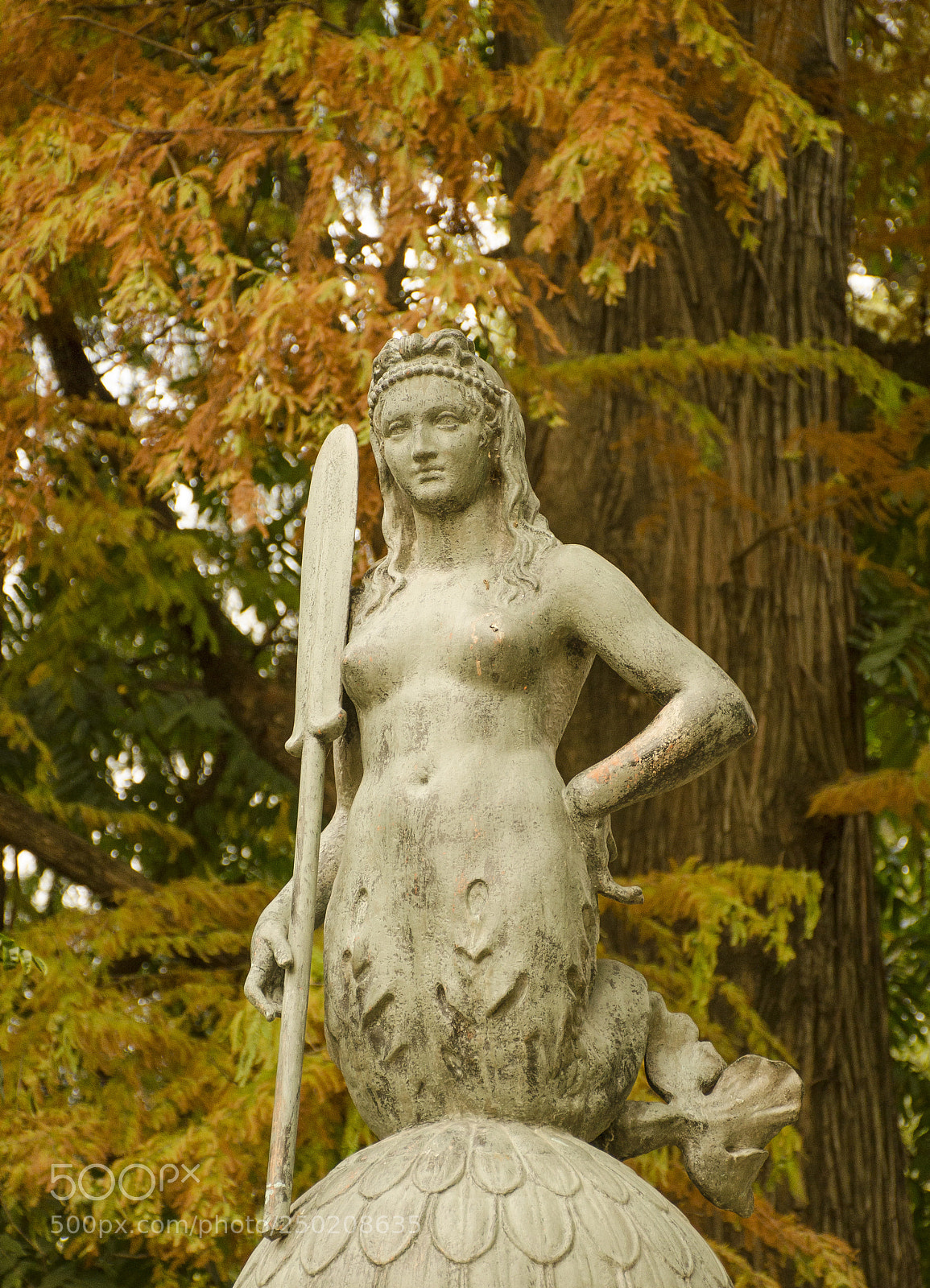 Nikon D7000 sample photo. Sirena otoñal photography