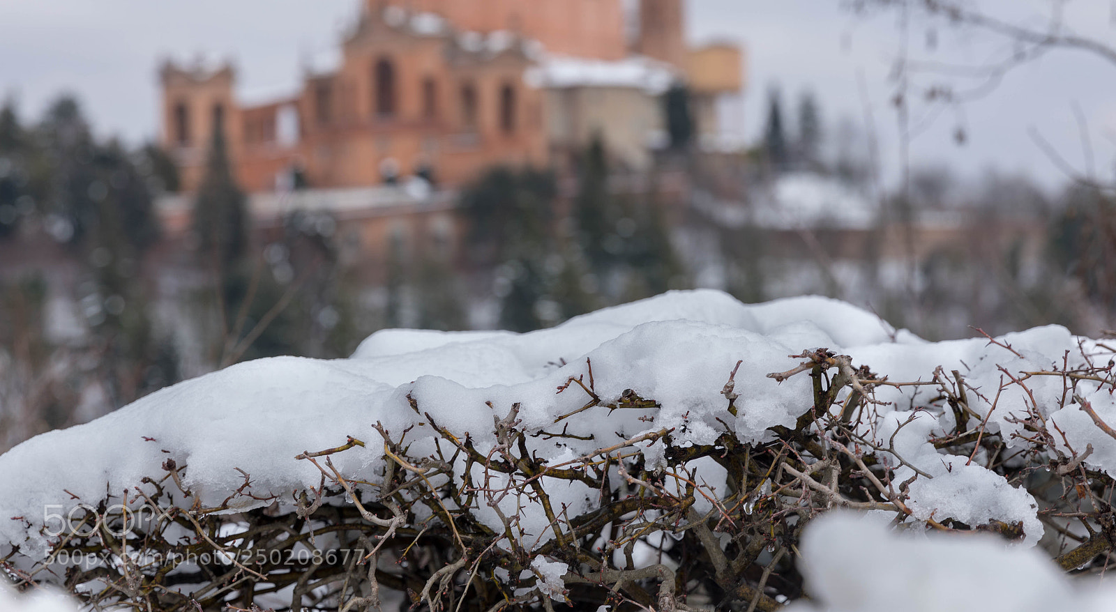 Canon EOS 5D Mark IV sample photo. San luca photography